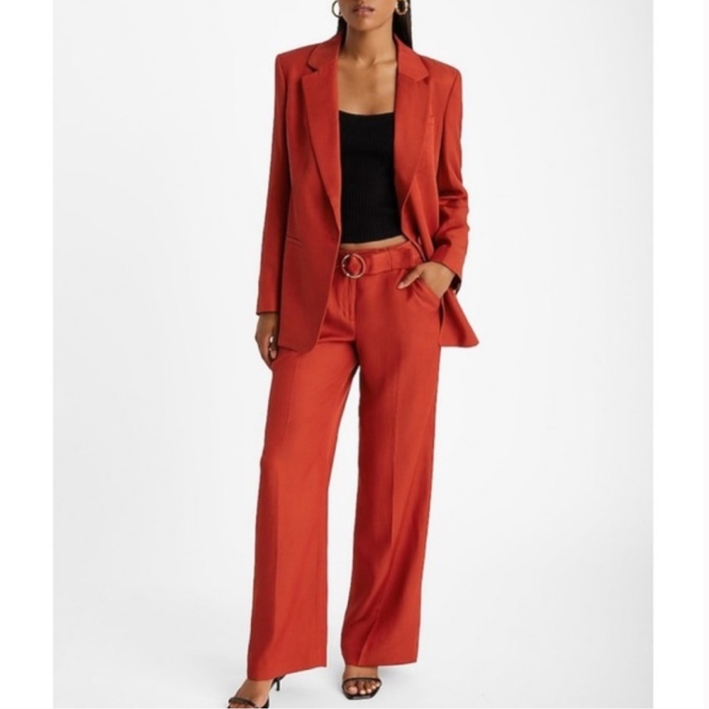 Express Editor Orange / Terracotta Women's Pants